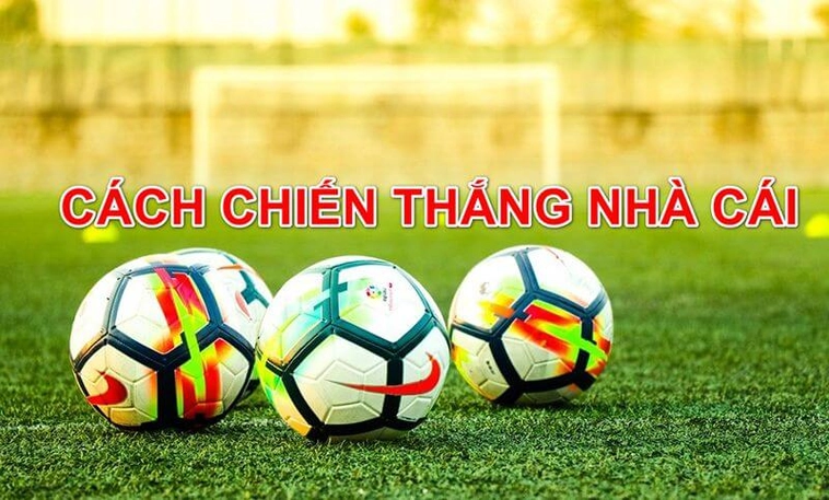 Đánh Giá Nhà Cái Bongvip: Sân Chơi Uy Tín & Hấp Dẫn