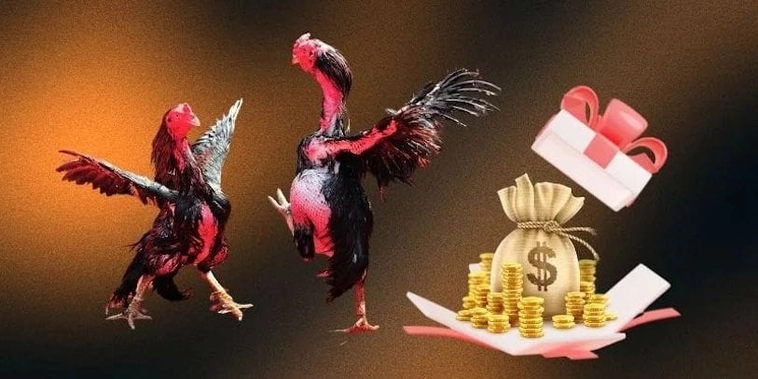 Khuyến Mãi Nhà Cái iBET: Trải Nghiệm Cá Cược Hấp Dẫn