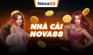 Khám Phá Khuyến Mãi Nhà Cái Nova88: Nhà Cái Uy Tín Số 1